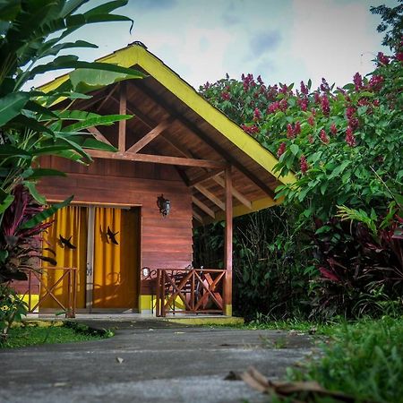 Selvita Lodge Arenal La Fortuna Kültér fotó