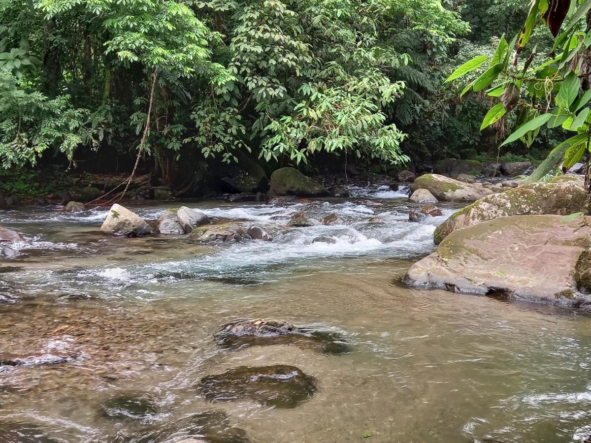 Selvita Lodge Arenal La Fortuna Kültér fotó
