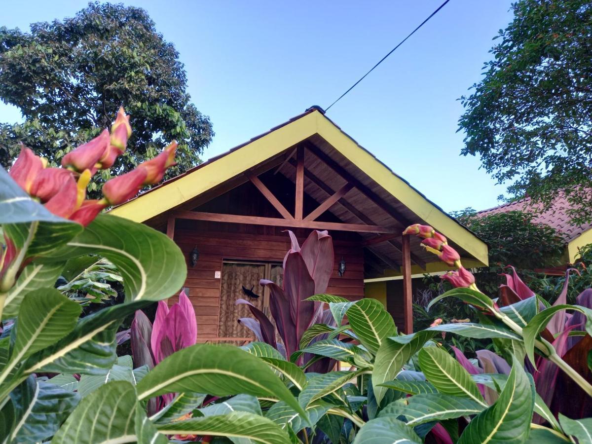 Selvita Lodge Arenal La Fortuna Kültér fotó